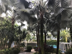 Gardenvista (D21), Condominium #181653602